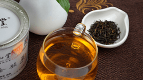 金骏眉茶树品种