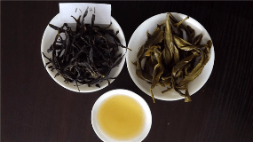 黑茶是绿茶吗