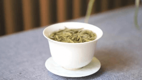 龙井茶的品种和价格