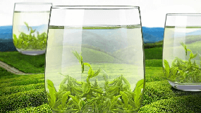 玻璃茶杯生产厂家