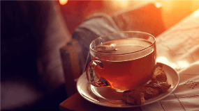 金萱茶属于什么茶类