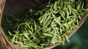 2016年绿茶产量最多的省份
