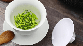 午子仙茗一级绿茶