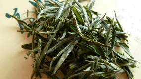 各种绿茶的味道特点