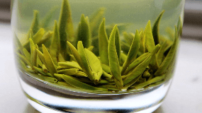 竹叶青绿茶价格