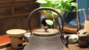 绿茶来源于怎样的家庭