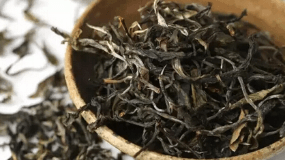 天目湖白茶种植过程
