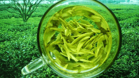 在杭州哪里可以买到正宗的西湖龙井茶