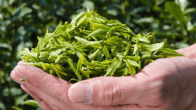 龙井茶原产地保护公告