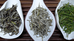 龙珠古树茶多少钱一斤