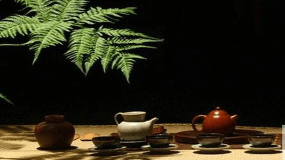 广东潮州的乌龙茶