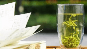 日照绿茶是寒性的吗