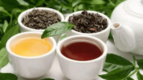 茶叶干茶色泽对什么最敏感