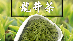 海青龙井茶