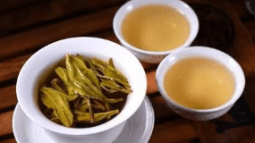 一颗绿茶的产量