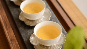 都说看茶性选茶，那什么是普洱茶的“茶性”呢？