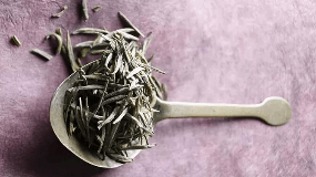 茶文化趣史 茶是怎样入药的？