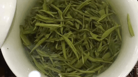 苦荞茶叶多少钱一斤