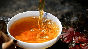 年轻人可以喝罗布麻茶
