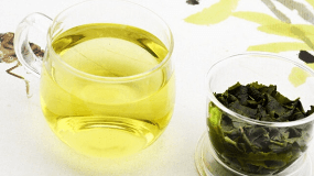 绿茶适合减肥吗