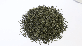 黄山毛峰茶叶保质期一般多久