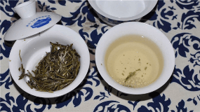 溧阳白茶的历史起源与演变
