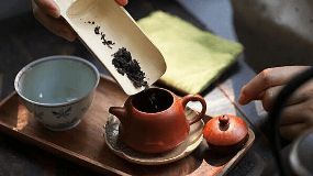 泾阳茯茶有什么功效