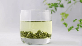 氨基酸含量高的茶叶品种