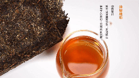 安化黑茶的历史文化（安化黑茶的历史文化故事）