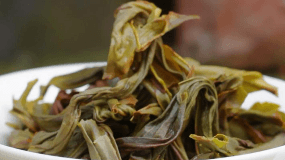 凤凰单枞属于什么茶 