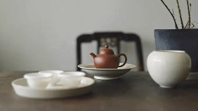 你喝的是茶还是细菌？