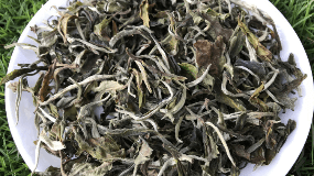 绿茶寿眉产地
