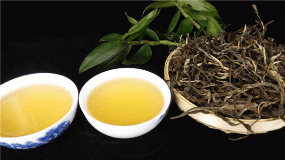 普洱熟茶和绿茶的区别