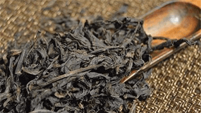 黄檗茶是什么茶