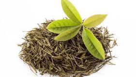 绿茶的功效和鉴别论文