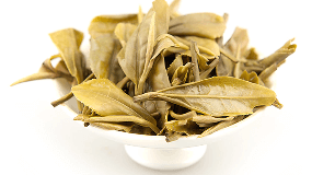 霍山黄芽属于发酵茶吗