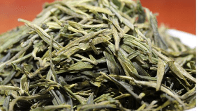霍山黄芽是绿茶吗（霍山黄芽属于什么茶是绿茶吗）