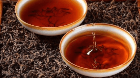蒲公英茶发酵和不发酵