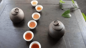 为什么红茶是发酵茶