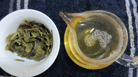 云南普洱茶是绿茶吗