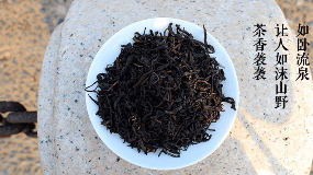 安化黑茶是什么树种