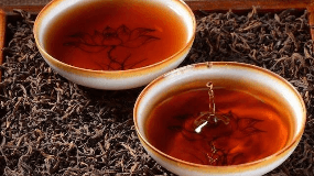 普洱茶的发展史（普洱茶的发展史料记载从什么就开始了）