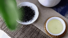 海南鹧鸪茶属于什么茶