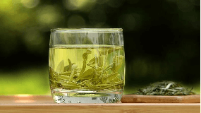 茶文化解析：黄山野毛峰