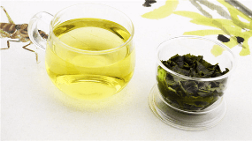 铁观音茶是绿茶吗 