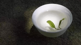 绿茶可以消肿减肥吗