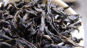 安吉白茶是属于什么茶种