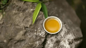 茶籽粉是什么