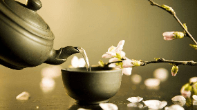 宜红茶业茶艺师