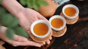 麻城龟山岩绿小罐茶